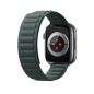 Preview: Dux Ducis Magnetisches Armband BL für Apple Watch 42 / 44 / 45 / 49 mm, grün